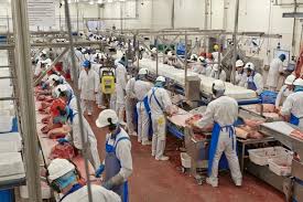 Meat Factory Machine Operator &amp; Factory Labor Jobs 2025